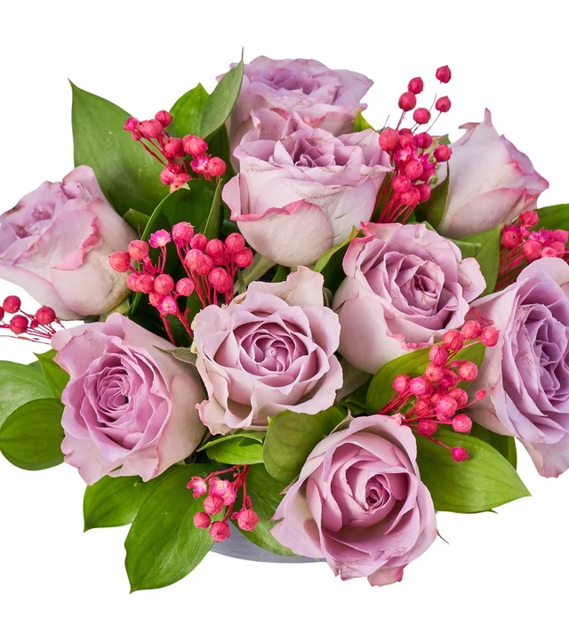Sweet Lilac - 3