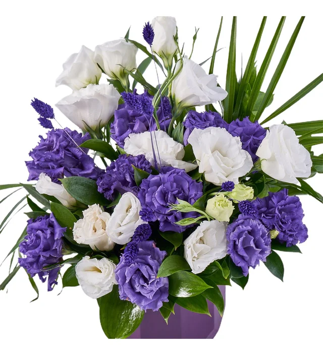 Purple Lisyantus Gift - 2