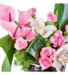 Premium Pink Feeling - 3