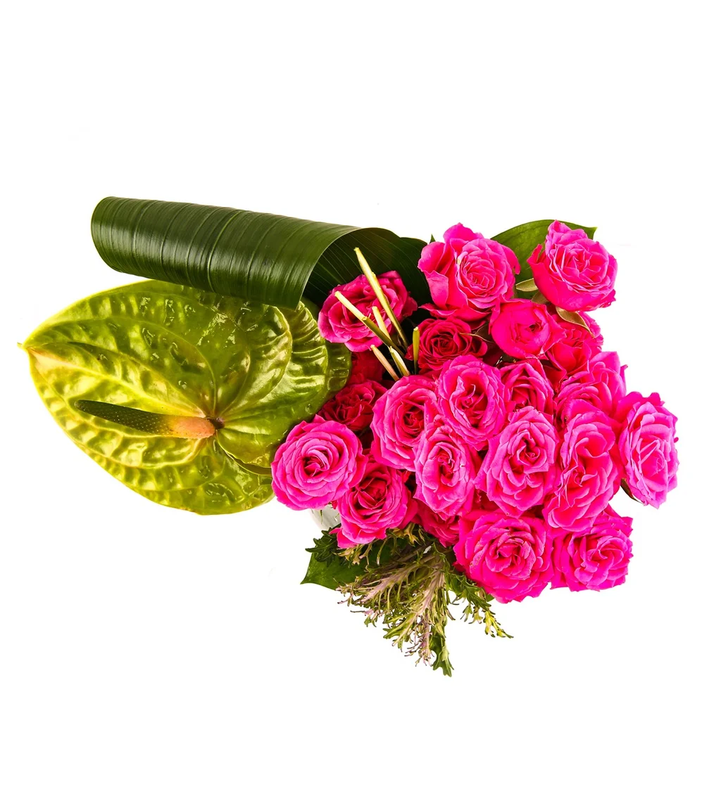 Premium Dream Rose - 2