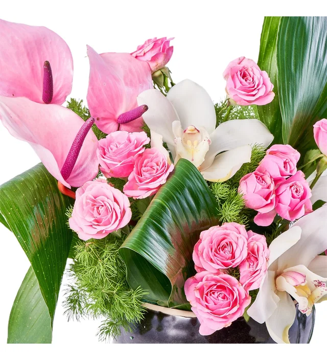 Premium Pink Feeling - 3