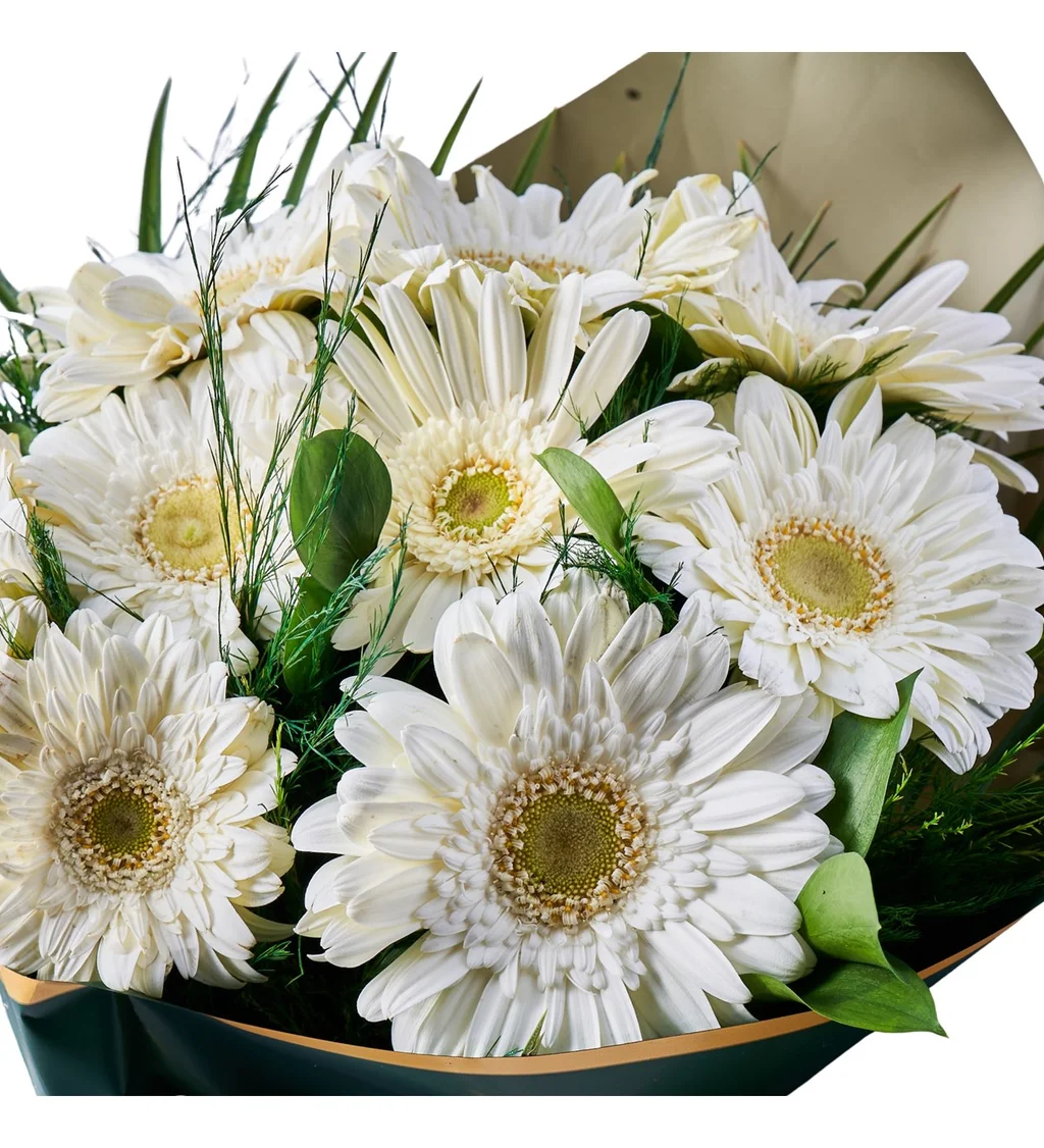 Beyaz Gerbera Buketi - 4