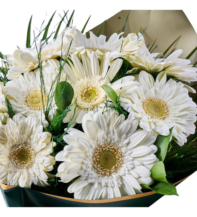 Beyaz Gerbera Buketi - 3