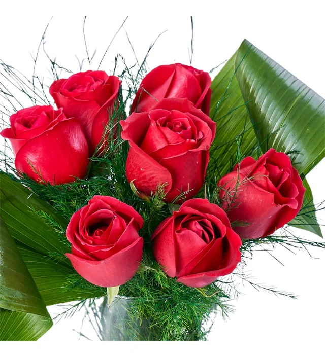 The Red Rose - 3