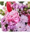 Pink of Feeling - 4