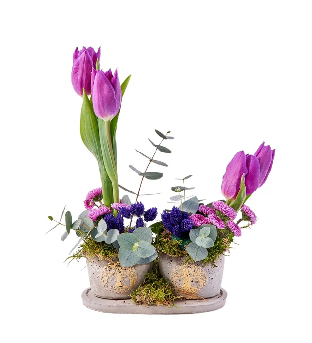 Mix Purple Lale - 4