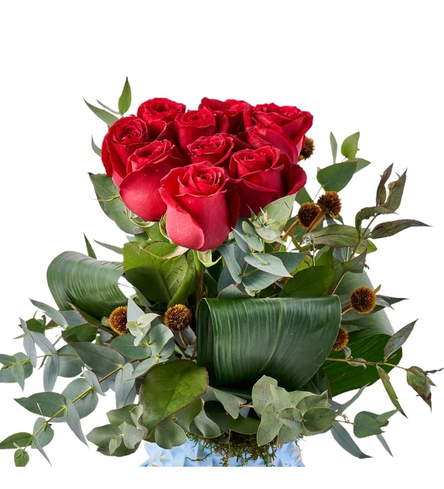 Red Beauty - 2