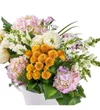 Premium Ortanca Design - 2