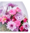 Pink Teraryum Garden - 4