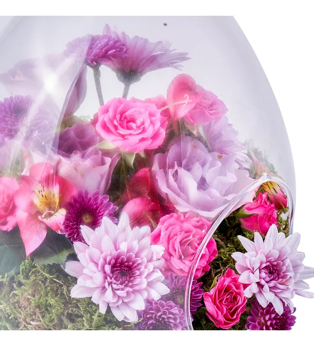Pink Teraryum Garden - 4
