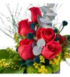 Red Rose Dance - 2