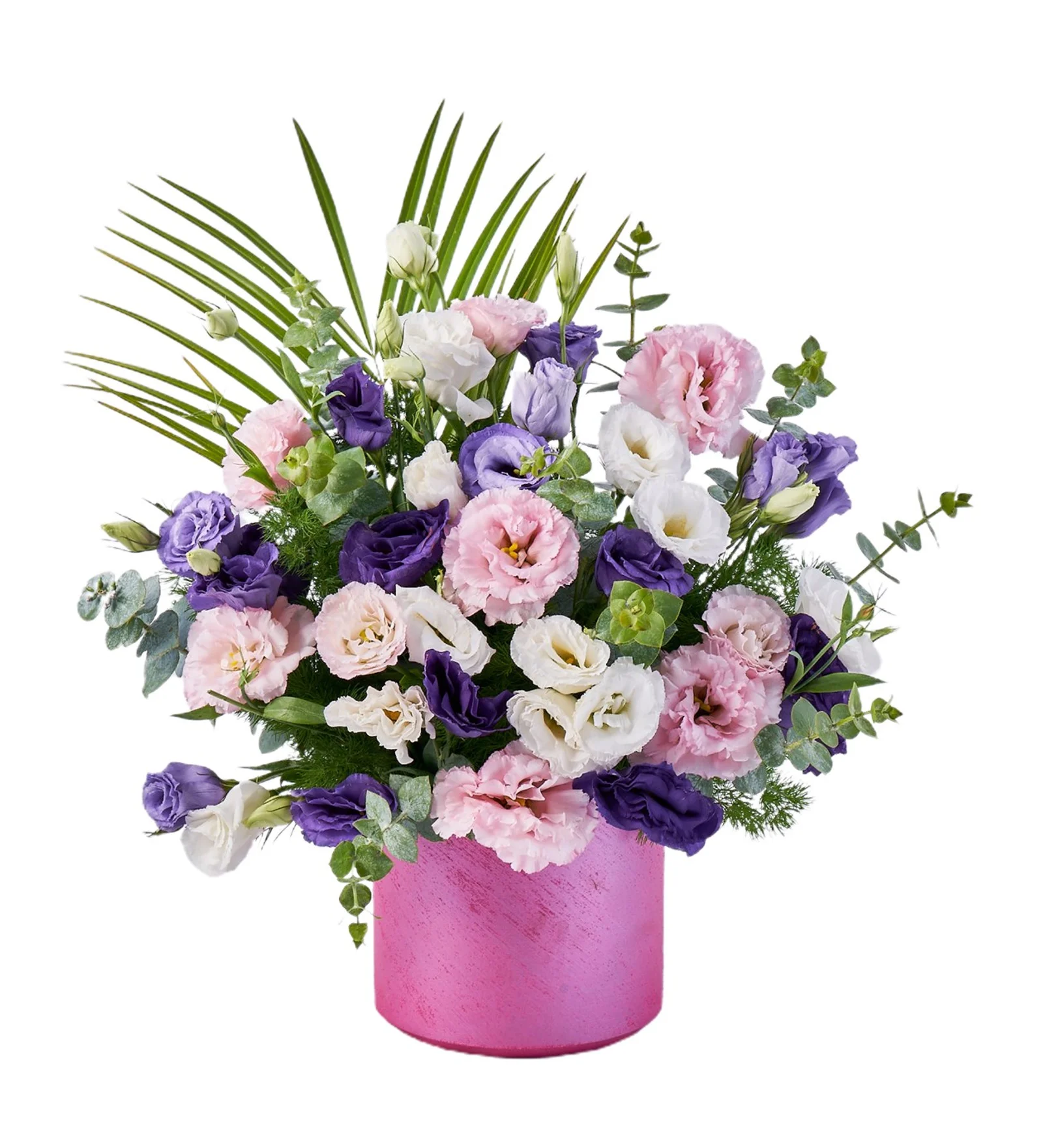 Pink Lisyantus Melody