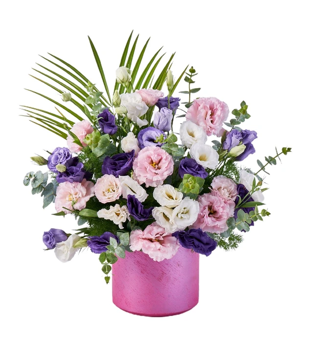 Pink Lisyantus Melody