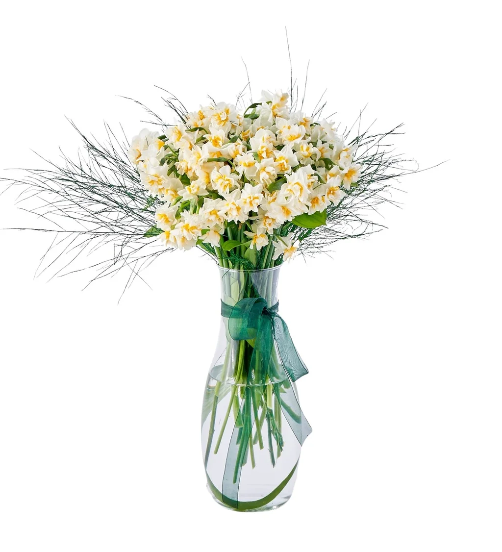 Vazoda Nergis Çiçeği