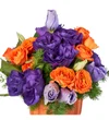 Purple Magic - 2