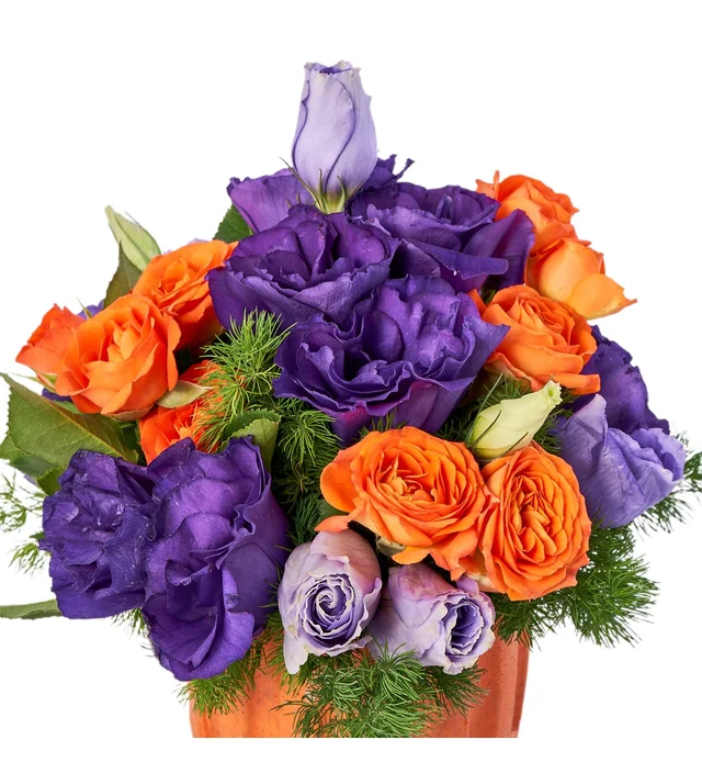 Purple Magic - 2