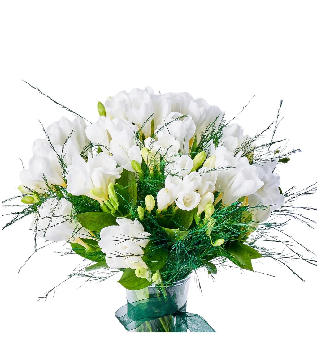 Vazoda Frezya Çiçeği - 3