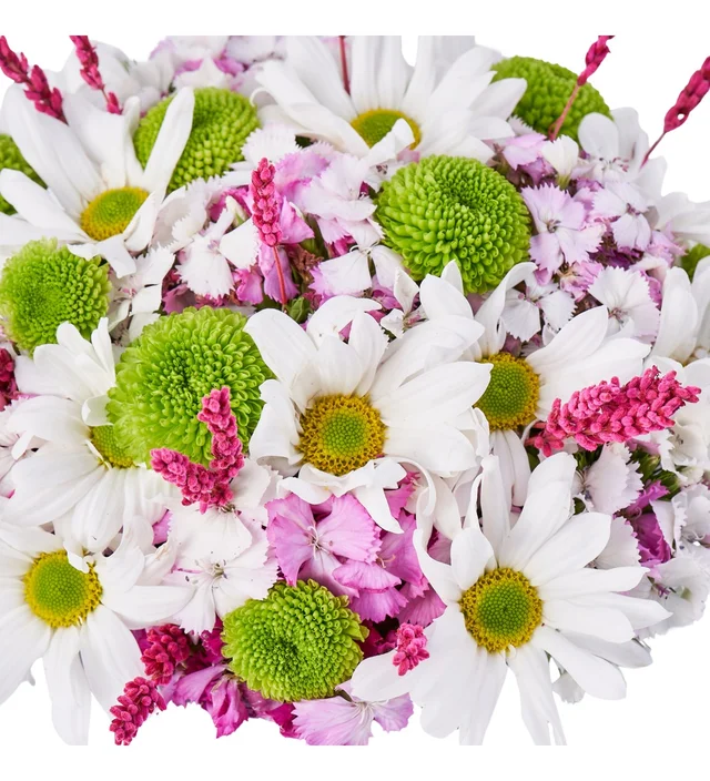 Good Daisy - 3