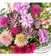 Premium Magic Gift - 3