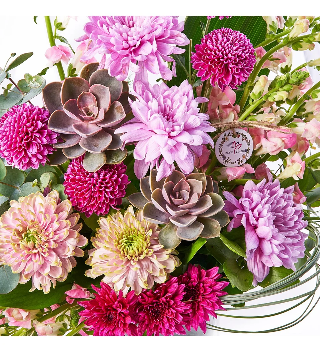 Premium Magic Gift - 4