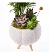 Lux Green Garden - 2