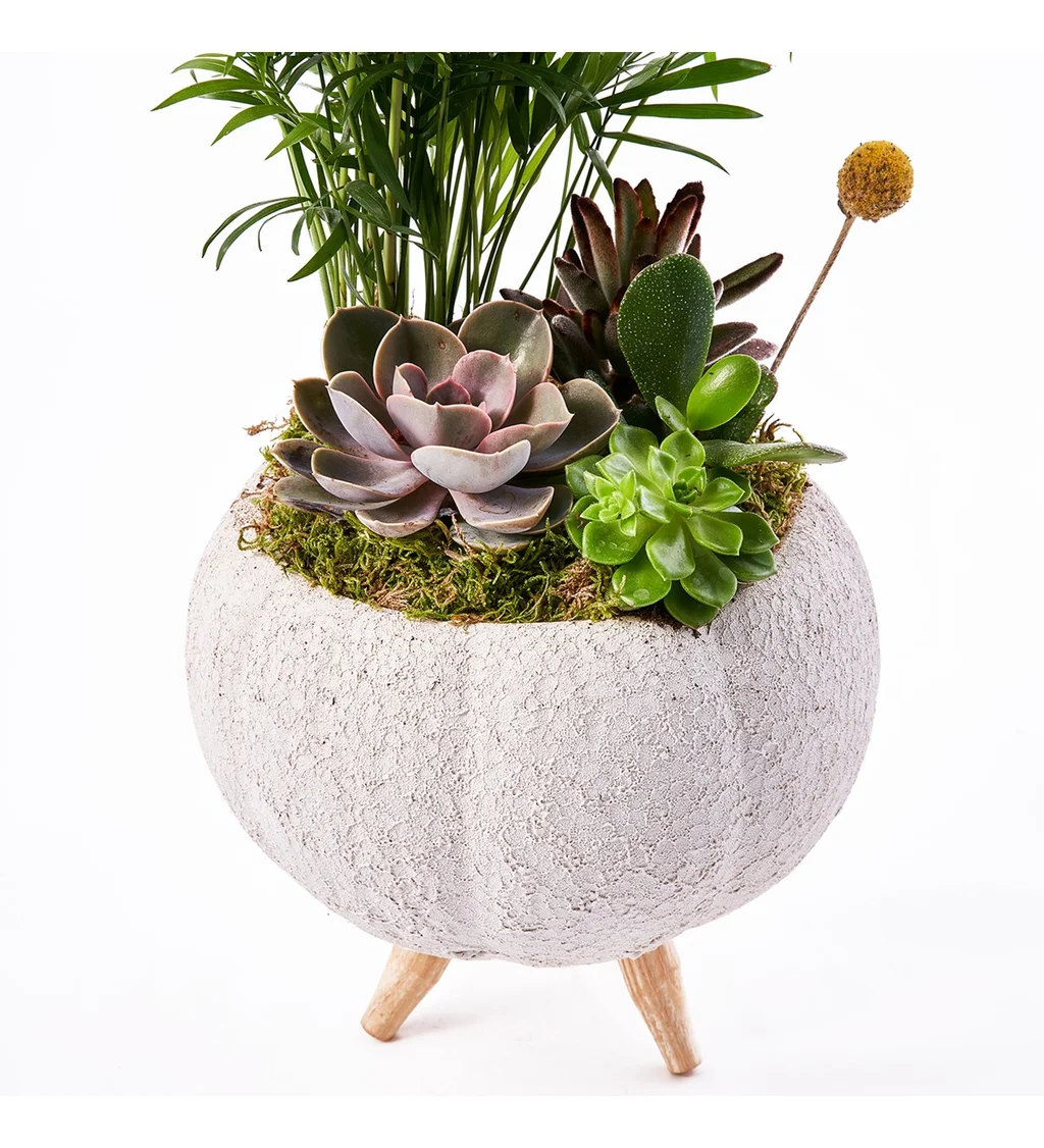 Lux Green Garden - 3