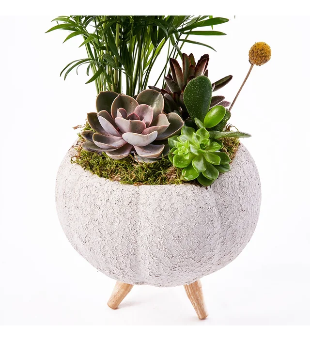 Lux Green Garden - 2