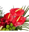 Red Energy - 3