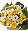 Yellow Queen - 3