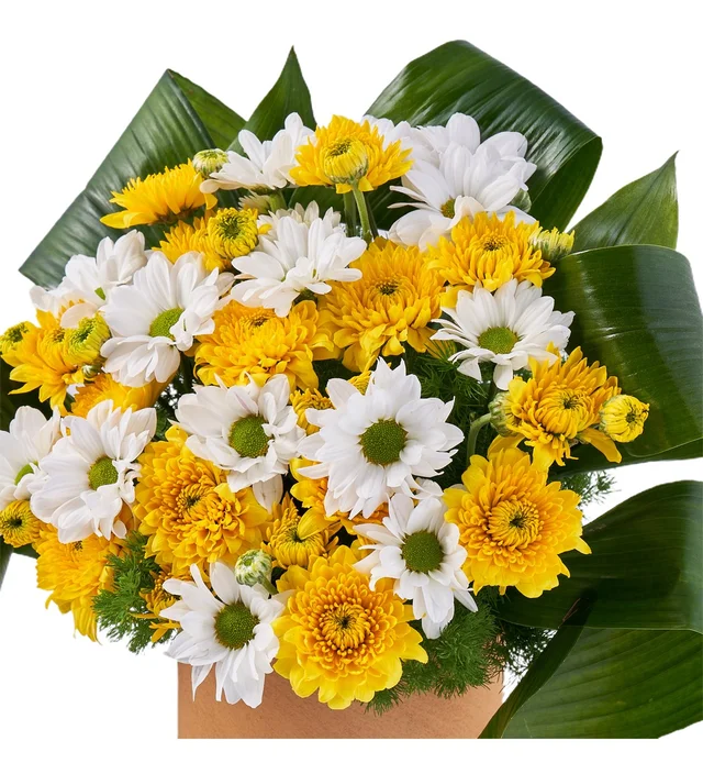 Yellow Queen - 3
