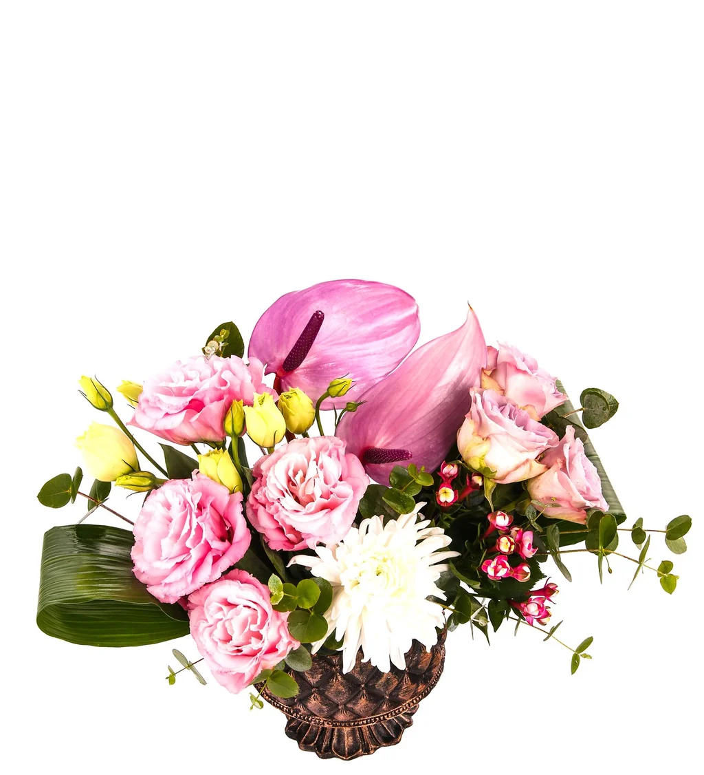 Luxury Sweetcorn - 3