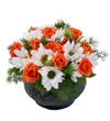 Sweet Orange - 2
