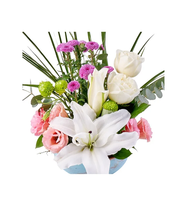 Pure Garden - 2