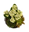 Fresh Trio Garden - 3