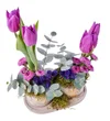 Mix Purple Lale - 2