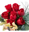 Red Pure Bloom - 3
