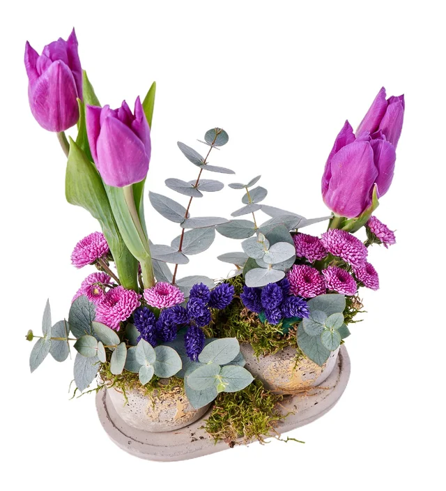 Mix Purple Lale - 2